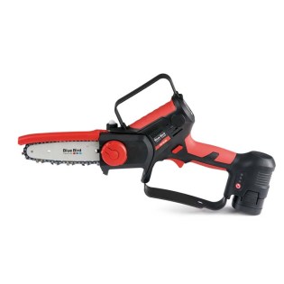 BLUE BIRD cs-22-06_new